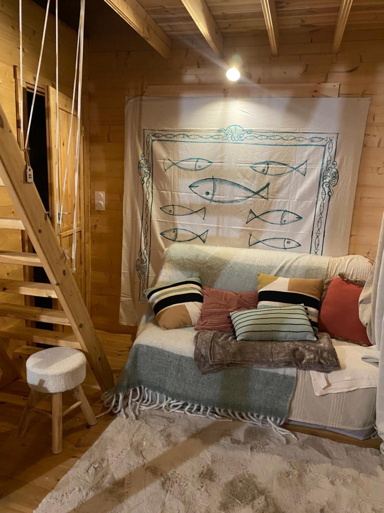 Maison En Bois 1 Chambre 4 Couchages Type Tiny House Granville Exterior foto